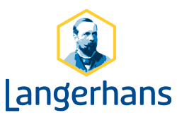 Langerhans